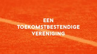 Terugkijken